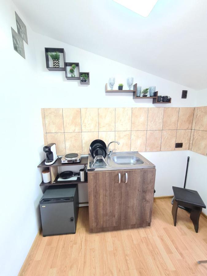 부쿠레슈티 Garsoniera Privata B&B 외부 사진